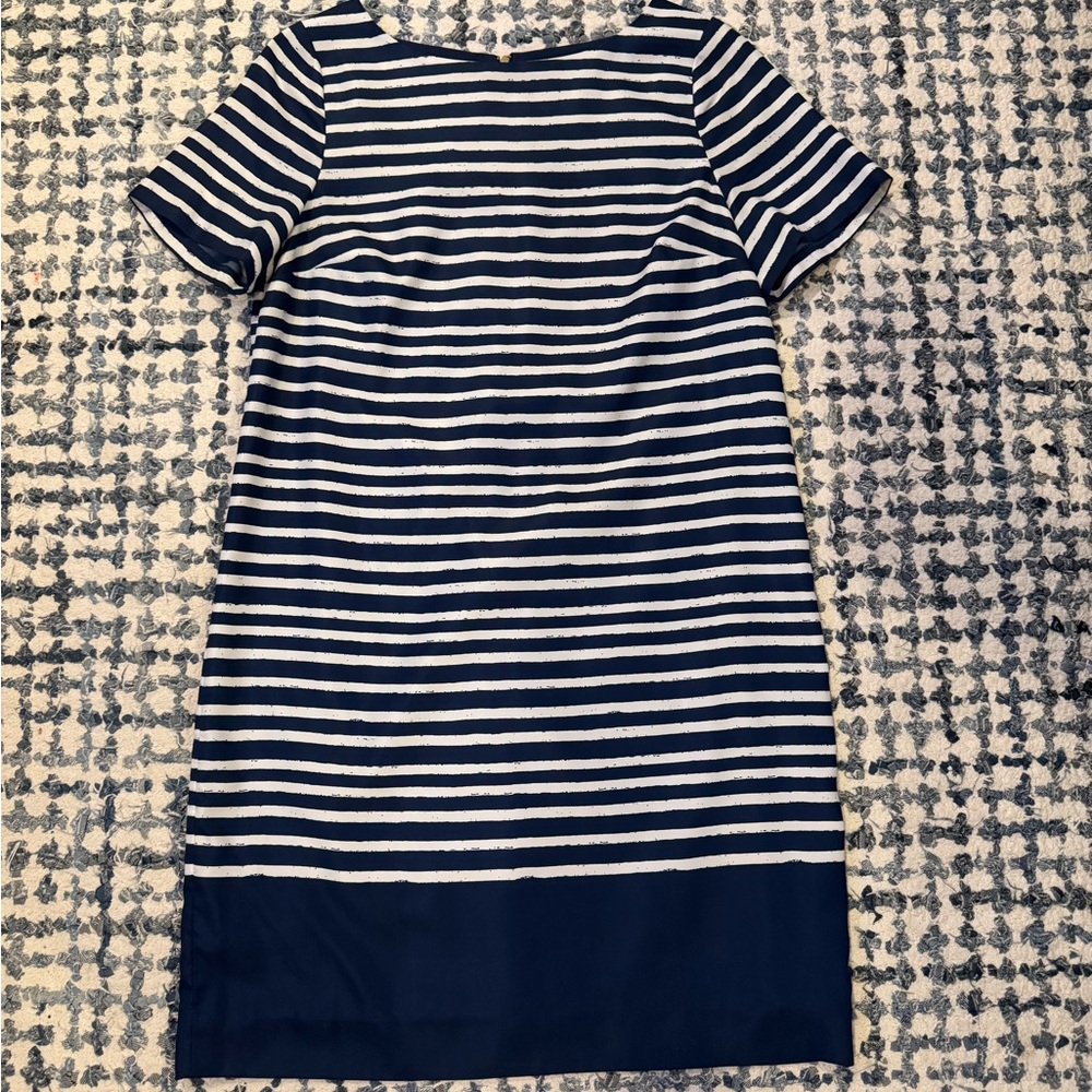 The Limited Deep Blue and White Striped Dress